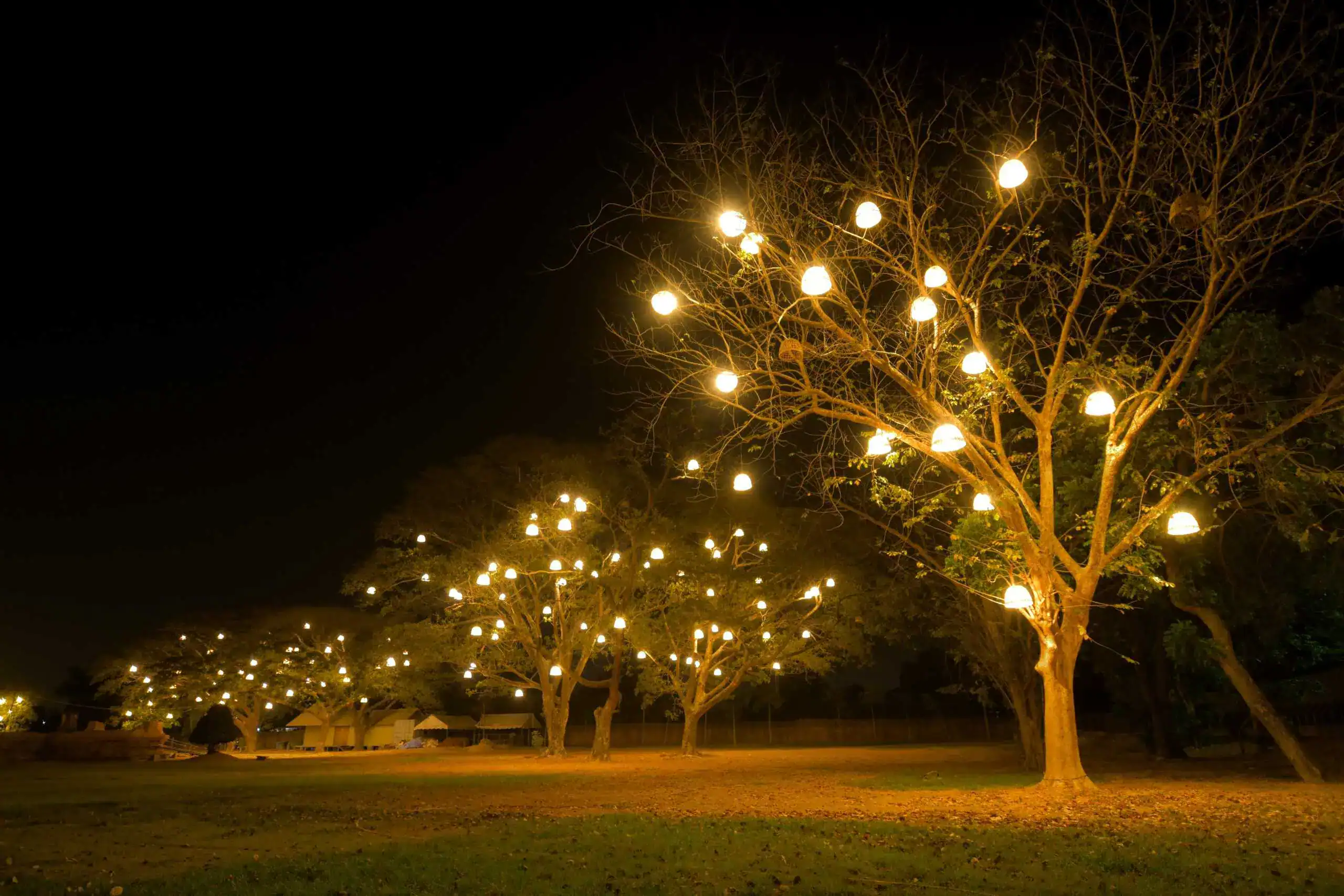 Leafless trees in a field at night are decorated with glowing lanterns hanging from the branches, creating a warm, magical atmosphere against the dark sky—perfect inspiration for AL lighting services Jefferson County.